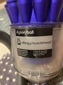 Пылесос Dyson DC37 Allergy Musclehead