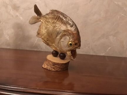 Чучело пираньи