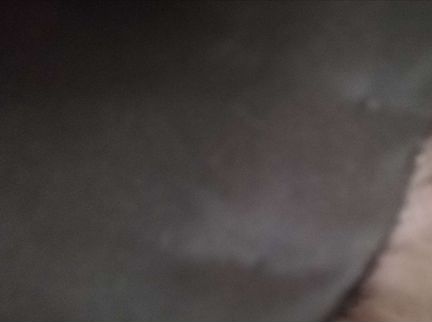 Воротник из серебристый чернобурки и опушка из пес