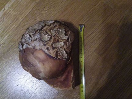 Кап березовый