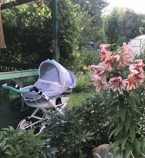 Коляска Bebe Mobile “ines” 2 в 1