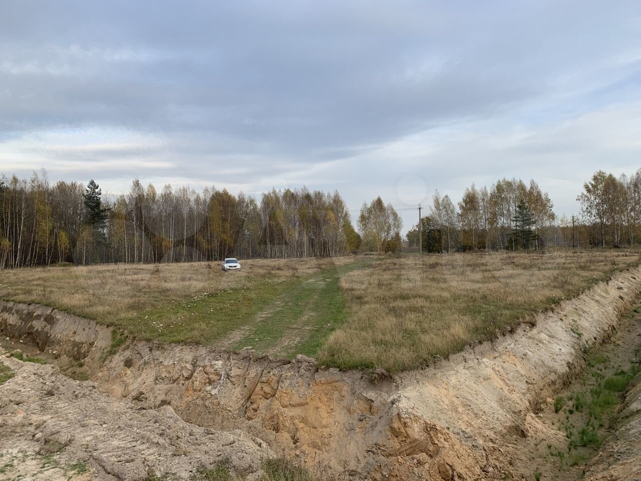 Заволжское сельское поселение ярославского