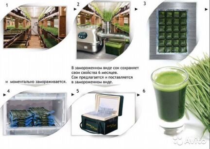Витграсс Сок из ростков пшеницы