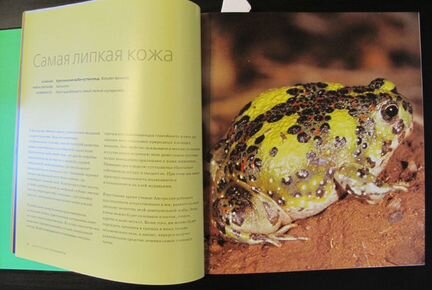 Книга Удивительная природа Марк Карвардин