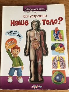 Как устроено наше тело