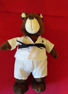 Мишка каратист