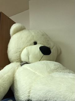 Плюшевый медведь