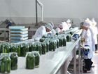 Требуются рабочие на консервный завод в Волжском