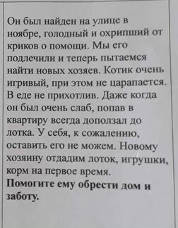 Сомалийская