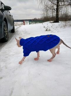 Вязаные свитера для сфинксов и других кошек