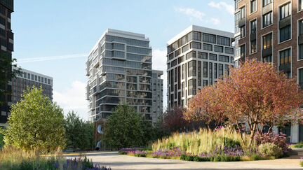 3-к квартира, 81 м², 1/14 эт.