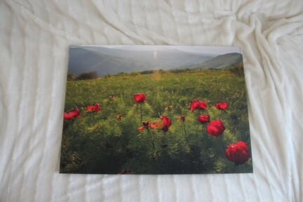 Фотокартина на холсте 