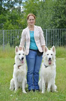 Хендлер, Дрессировка, Кинолог