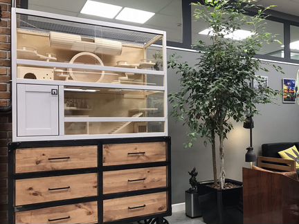 Витрина для шиншилл, дегу