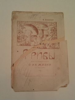 М.Новорусский «Грибы» 1919г