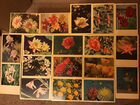 Коллекционные открытки Цветы 60-х годов