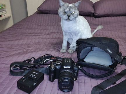 Panasonic Lumix G2