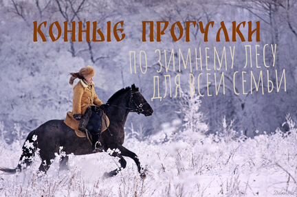 Конные прогулки