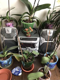 Музыкальный центр