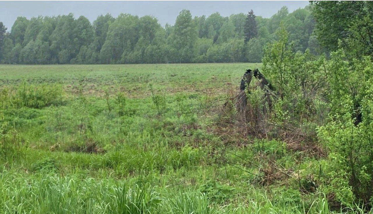 Примерно н. Лихомостье Рославльский район.