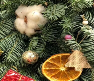 Экологические ёлки