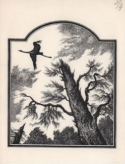 Иллюстрации Макет книги Художник А. Левицкий