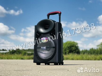 Портативная колонка для караоке Meirende MR-103