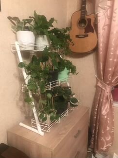 Стойка для цветов наклонная (3 яруса), ширина 60см