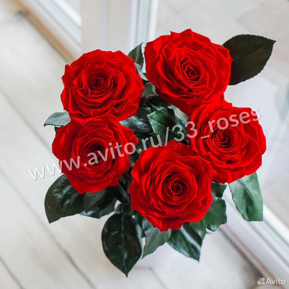 Розы пять штук. Пять красных роз. Красные розы 5 штук. Букетик из 5 роз. Букет из роз 5 штук.