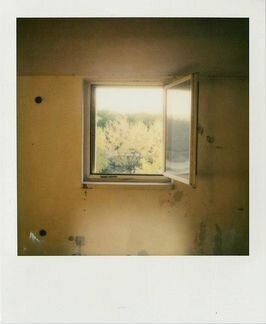 Polaroid 600 кассета цветная