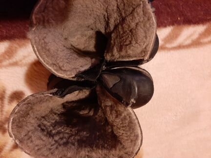 Зимние сапожки Котофей