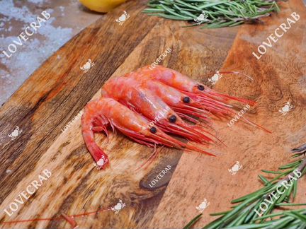 Креветка дикая (северная)